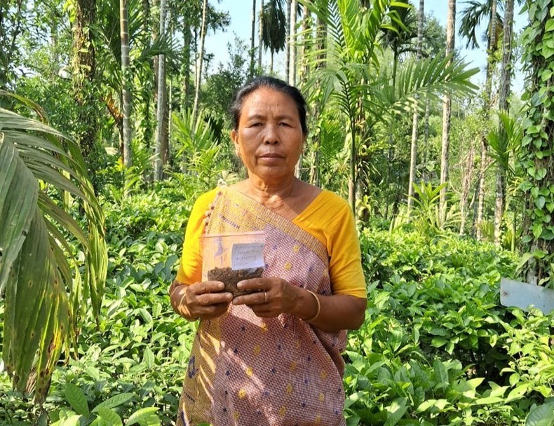 Alternative Approaches: Farmers taking control of the tea value chain