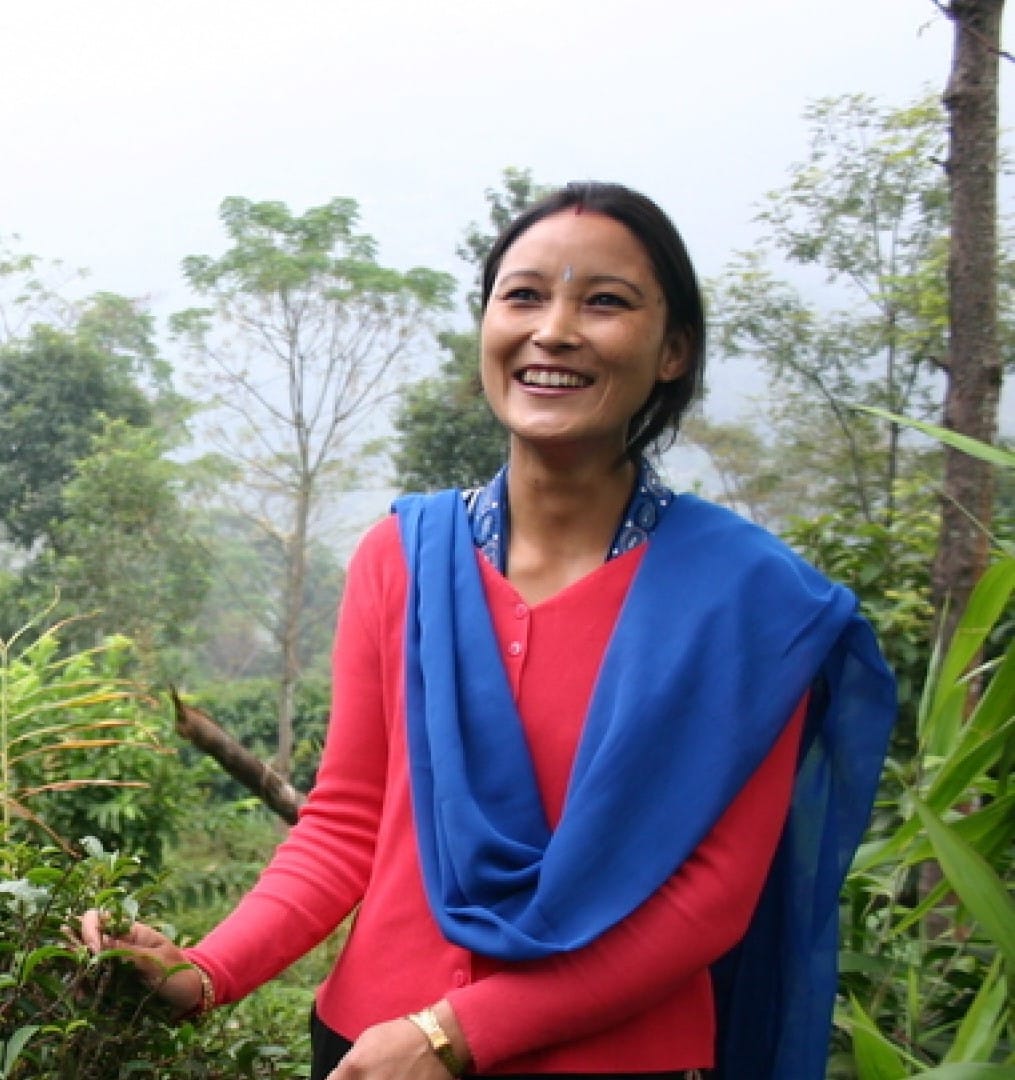 Alternative Approaches: from Closed Estate to Thriving Cooperative